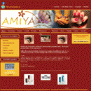 amiya.com.pl