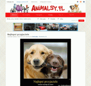 Animalsy.pl