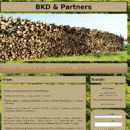 bkdandpartners.com.pl