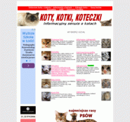 Forum i opinie o cats.alpha.pl