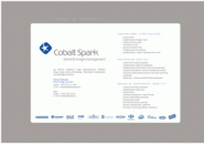 Cobaltspark.pl