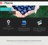 E-platnik.pl