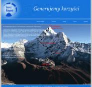 Everestksiegowy.pl