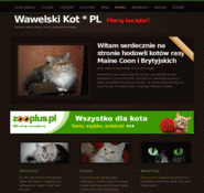 Mainecoon.net.pl