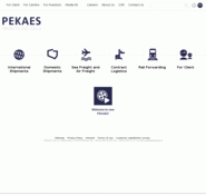 Pekaes.com.pl
