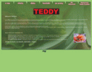 teddy-catering.pl