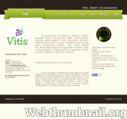 Vitis.com.pl