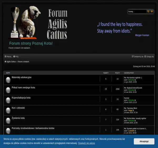 Forum i opinie o agiliscattus.pl