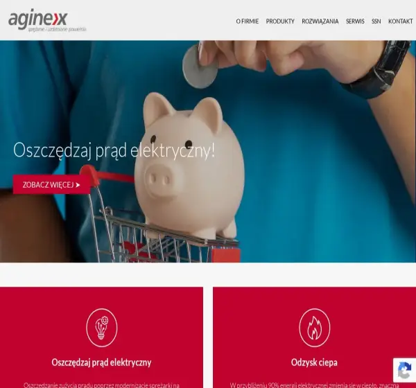Forum i opinie o aginex.pl