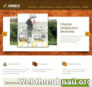 Amex.net.pl