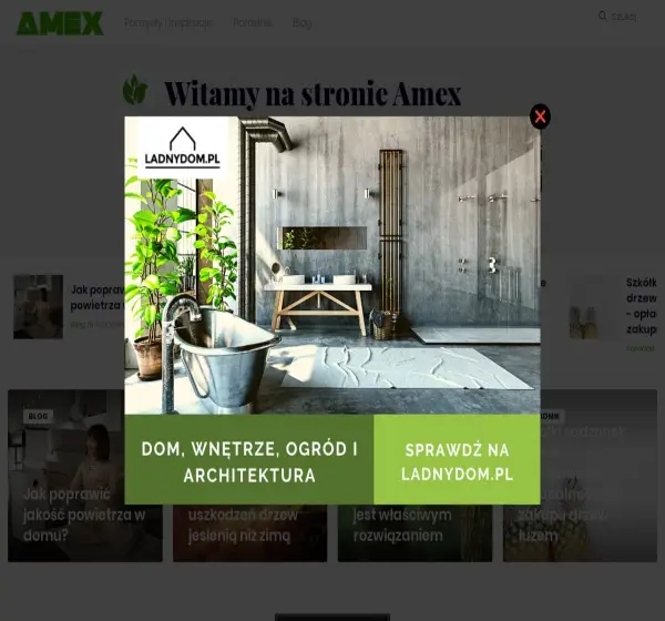 Forum i opinie o amex.net.pl