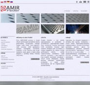 Amir-feder.com