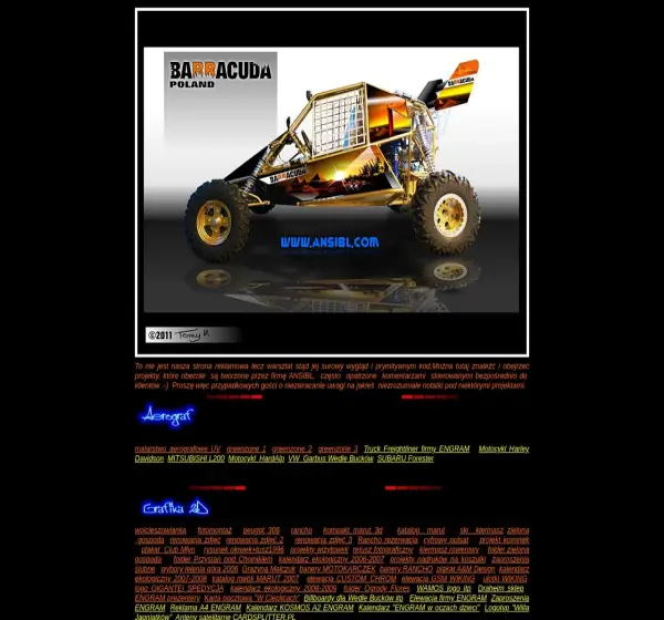 Forum i opinie o ansibl.com