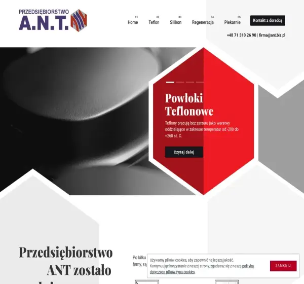 Forum i opinie o ant.biz.pl