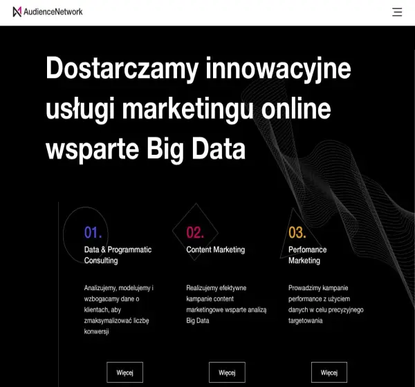 Forum i opinie o audiencenetwork.pl