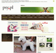 Bichon-frise.psy.pl