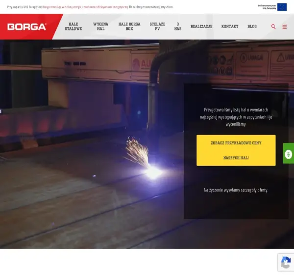 Forum i opinie o borga.pl