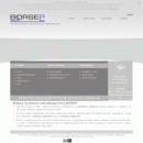 borsep.com.pl