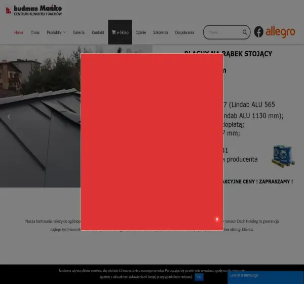 Forum i opinie o budman.com.pl