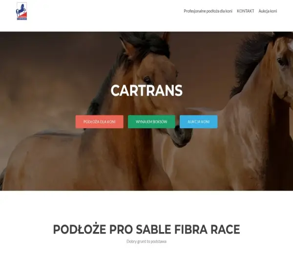 Forum i opinie o cartrans.pl