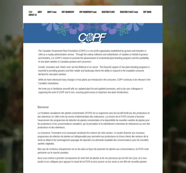 Forum i opinie o copf.org