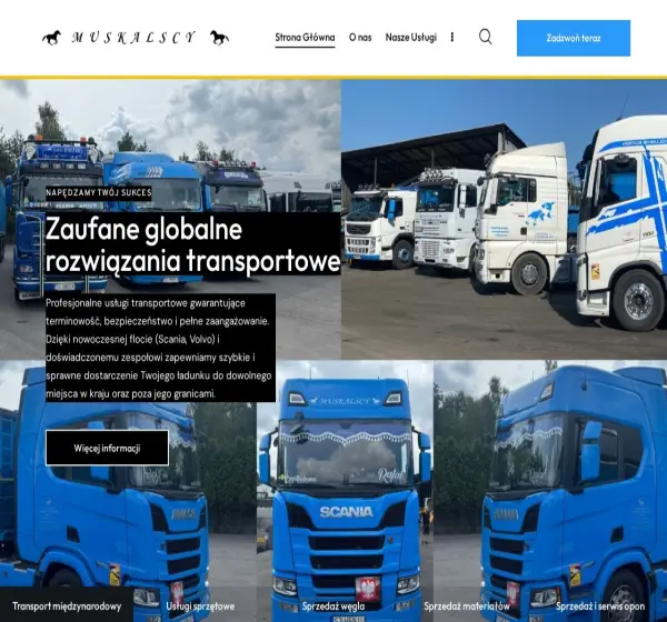 Forum i opinie o dawidtrans.eu