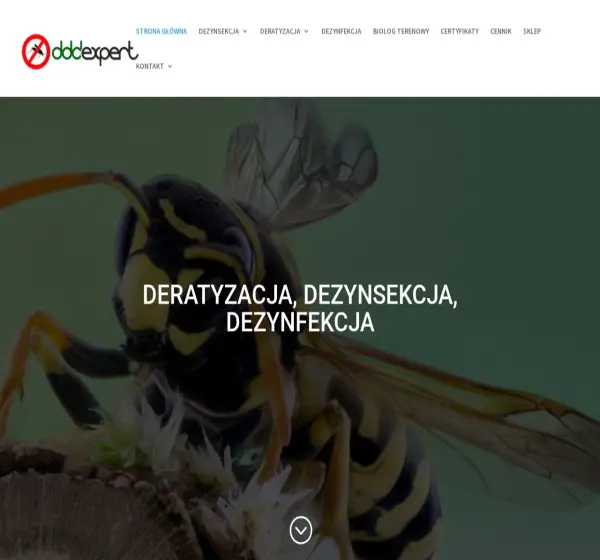 Forum i opinie o dddexpert.pl