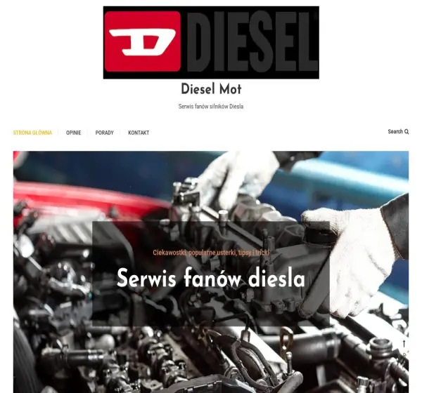 Forum i opinie o diesel-mot.pl
