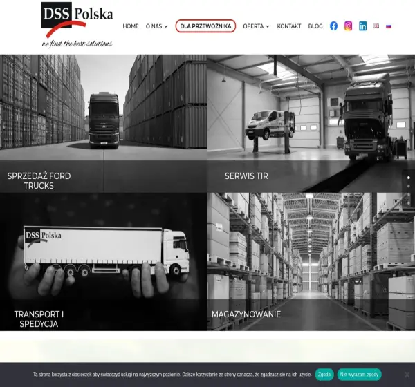 Forum i opinie o dss-polska.eu
