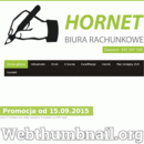 e-hornet.pl