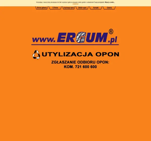 Forum i opinie o ergum.pl