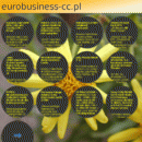 eurobusiness-cc.pl