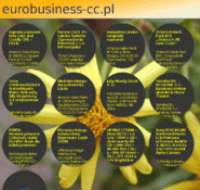 Forum i opinie o eurobusiness-cc.pl