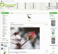 Forum i opinie o falcon9.pl