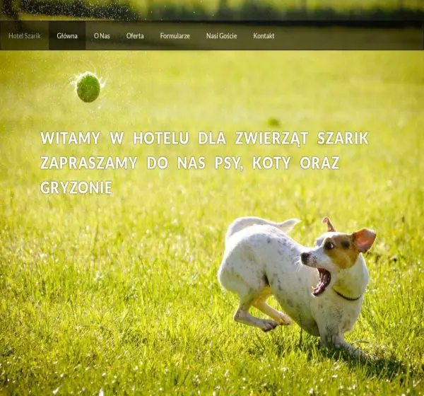 Forum i opinie o hotel-szarik.webd.pl