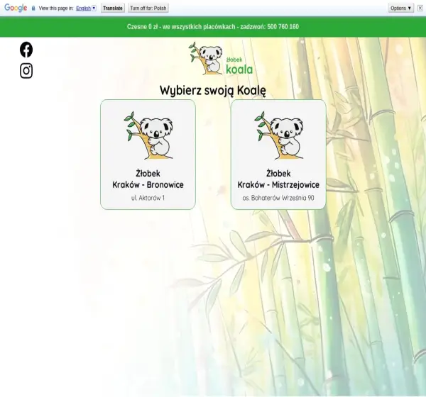 Forum i opinie o koala.com.pl