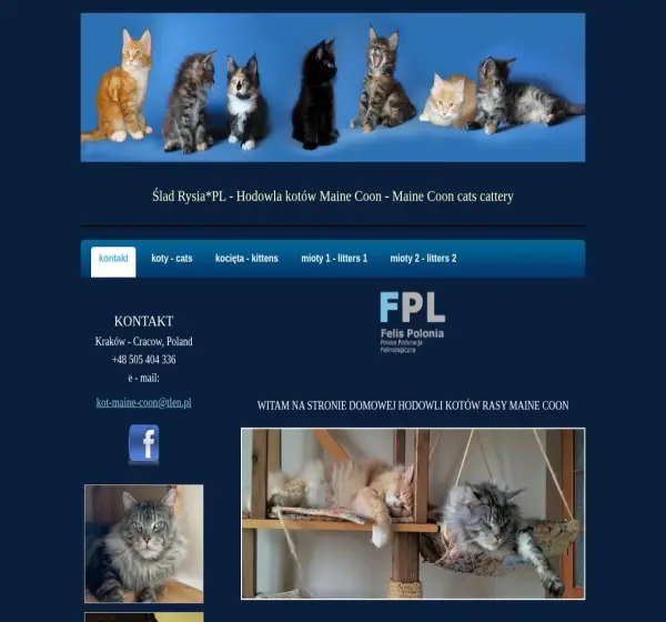 Forum i opinie o kot-maine-coon.pl