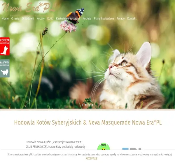 Forum i opinie o koty-nowaera.pl