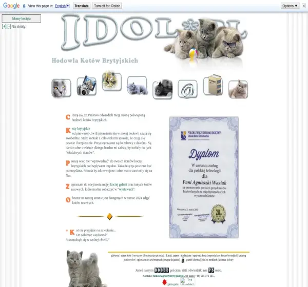 Forum i opinie o kotybrytyjskie.pl
