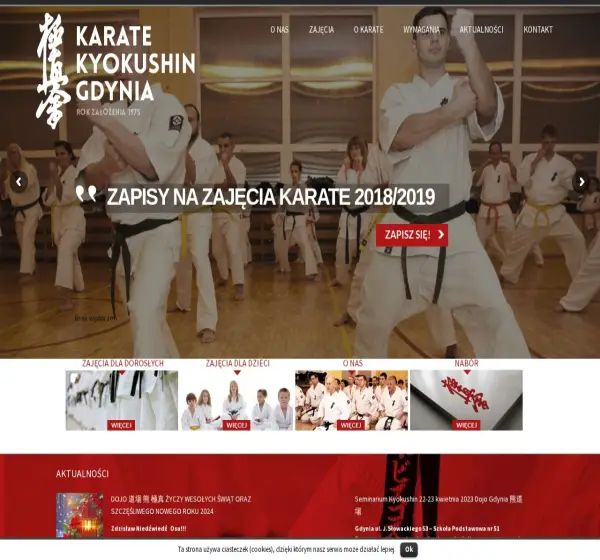 Forum i opinie o kyokushin-gdynia.com.pl