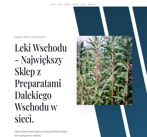 Forum i opinie o leki-wschodu.pl
