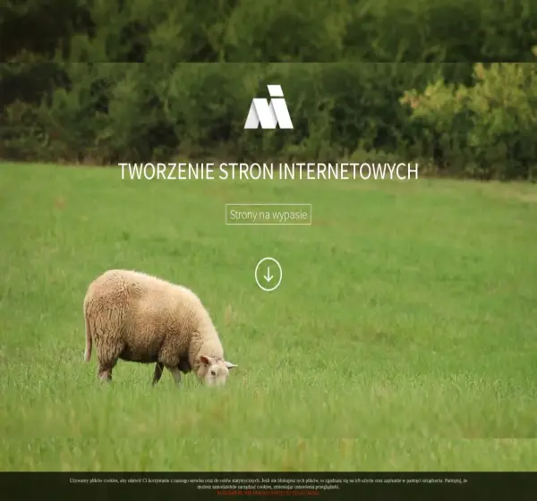 Forum i opinie o manufakturainternetu.pl