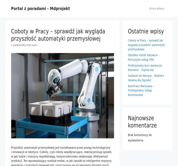 Forum i opinie o md-projekt.pl