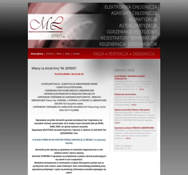 Forum i opinie o mlserwis.pl
