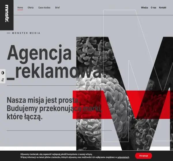 Forum i opinie o monstermedia.pl