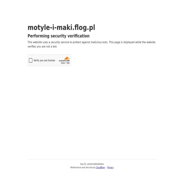 Forum i opinie o motyle-i-maki.flog.pl