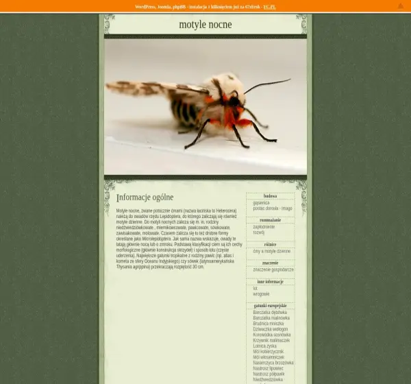 Forum i opinie o motylenocne.dzs.pl