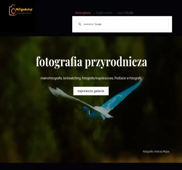Forum i opinie o motylpodlaski.pl