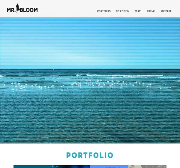 Forum i opinie o mrbloom.com.pl