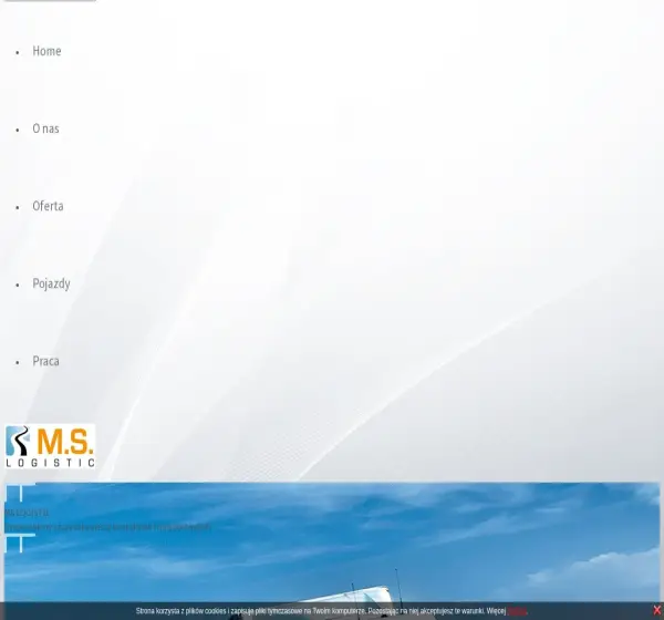 Forum i opinie o mslogistic.pl